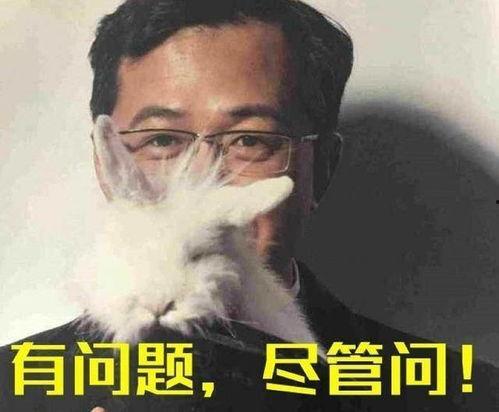 卓伟最新爆料一哥是谁,揭秘娱乐圈一哥真实身份  第2张