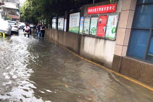 解放路学校爆料视频最新,揭秘校园内幕，引发社会关注  第1张